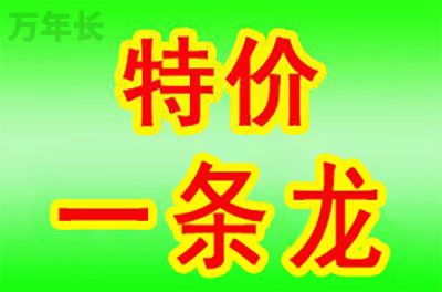 安徽省合肥市蜀山区周边墓地价格政策